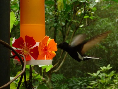 P1050861