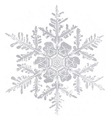 Flakes (1) Flakes (1)