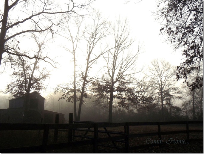 Dawn in the Mist