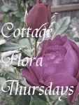 [Cottage Flora Thursday button[4].jpg]