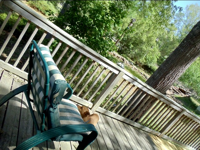 [viewfromourdeck7.jpg]