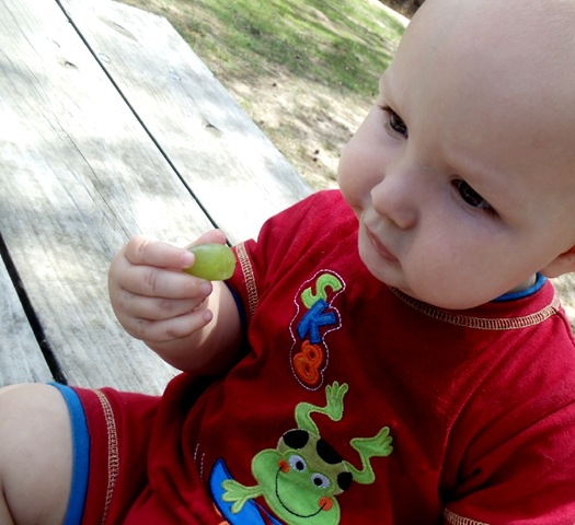 [Nikolai eats a grape[2].jpg]