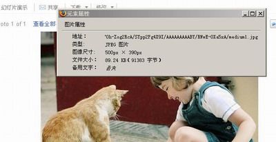 Google Picasa相册使用指南7 信发网