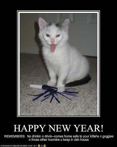 [cat-new-year[3].jpg]