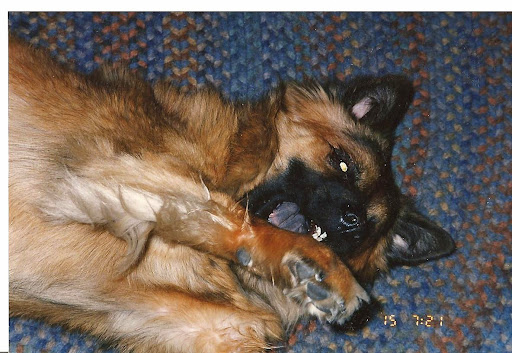 levi