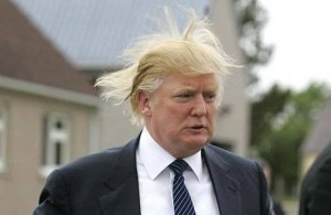 [trump-hair-300x195[6].jpg]