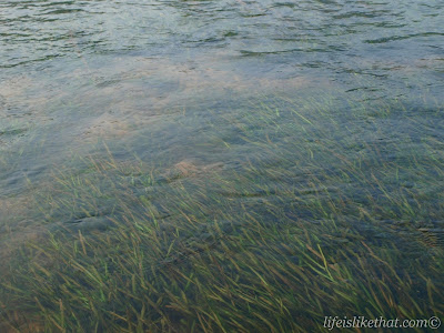 Yulong River Rafting picture guilin escapade  photo