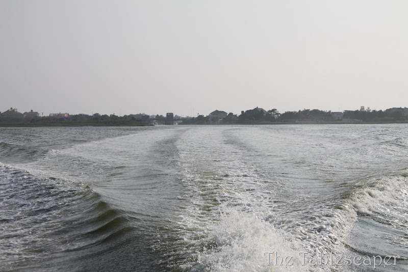 IMG_4554