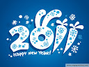 Новый Год 20111