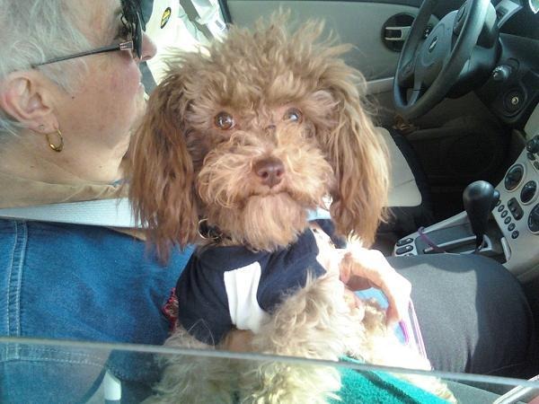 [zazoo n mom[2].jpg]