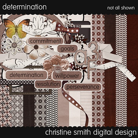 [csmith-determination[3].jpg]