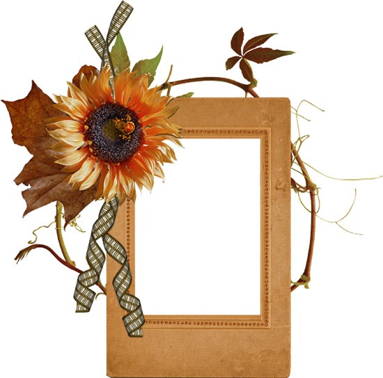 gratitude-cluster