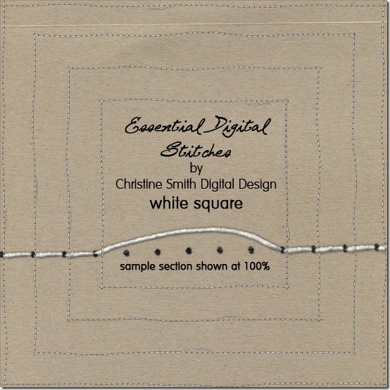 CSmith_StitchesWhiteSquare550