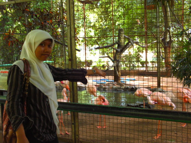 asik