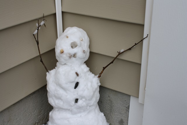 [March Snow 042[2].jpg]