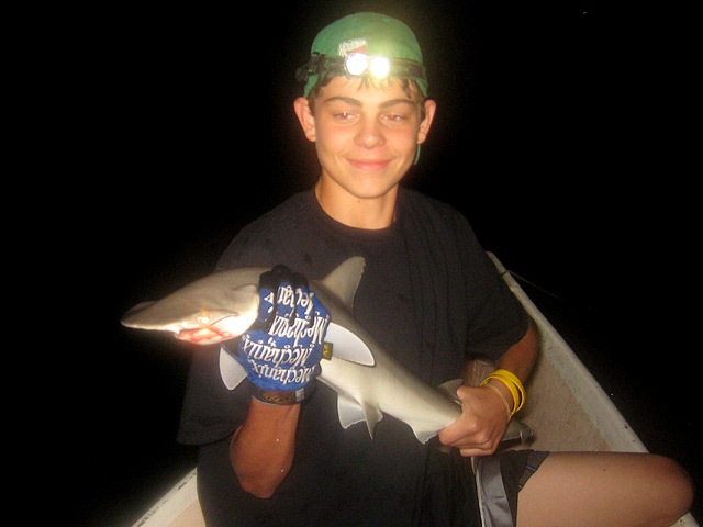 [seabass1[2].jpg]