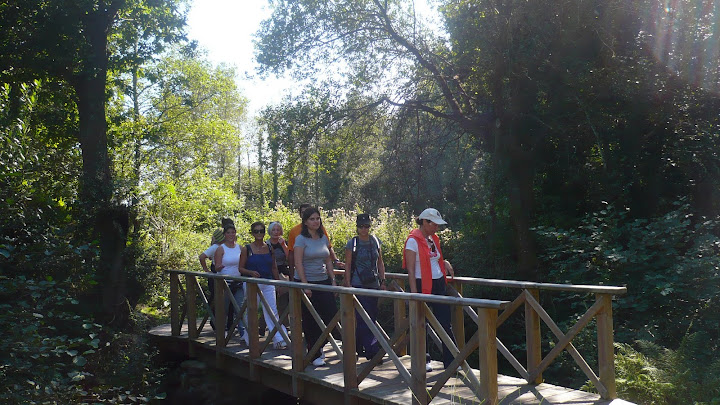 camiñando pola ponte