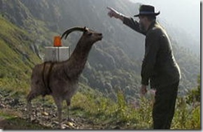 dahucapra dahucapra