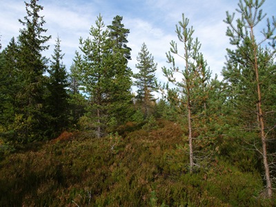 P9260104