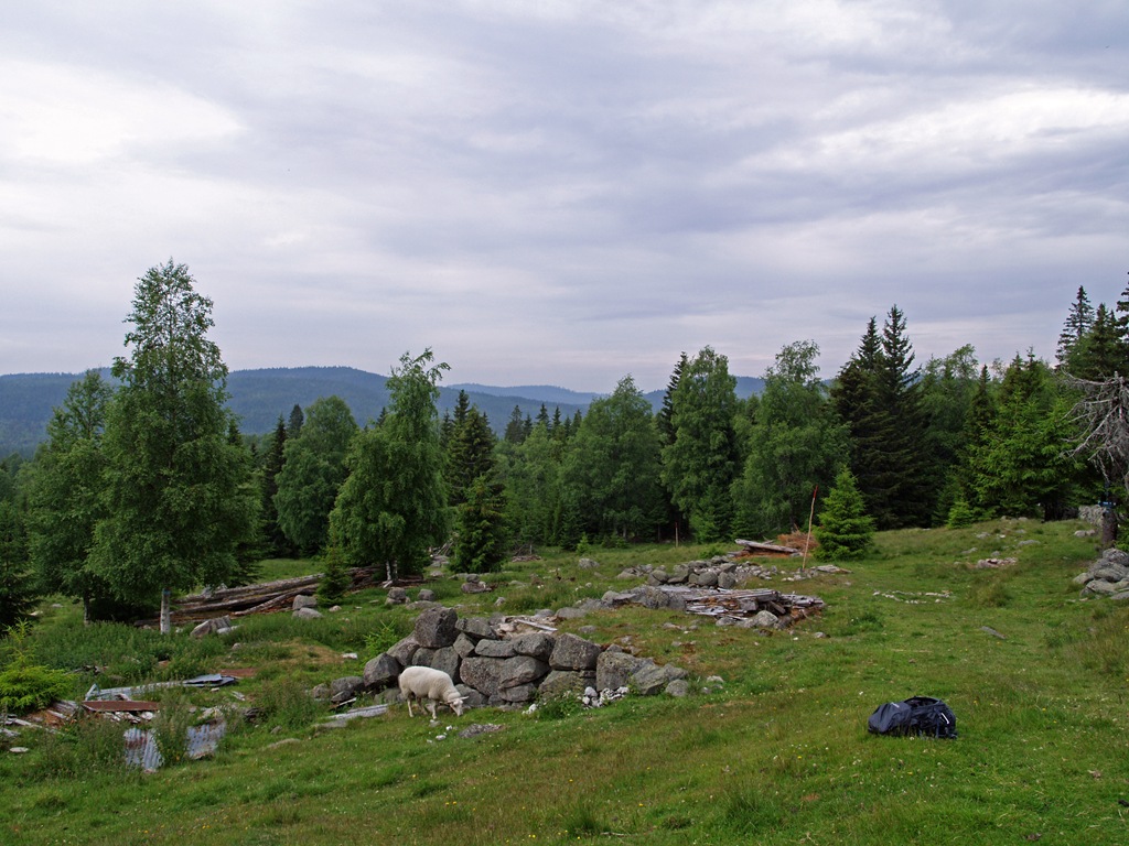[P7030004_edited[4].jpg]