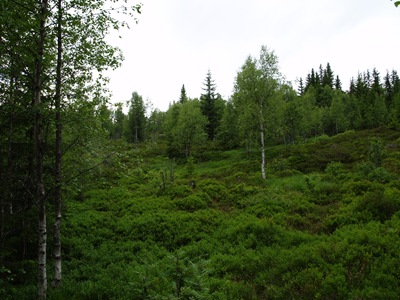 P7060045