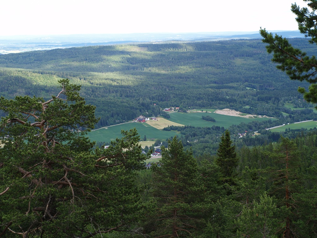 [P7060021[4].jpg]