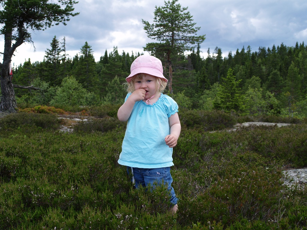 [P7060022[5].jpg]