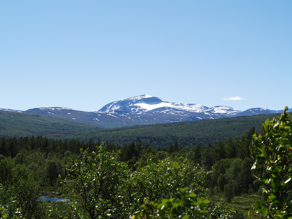 [P7100005[4].jpg]