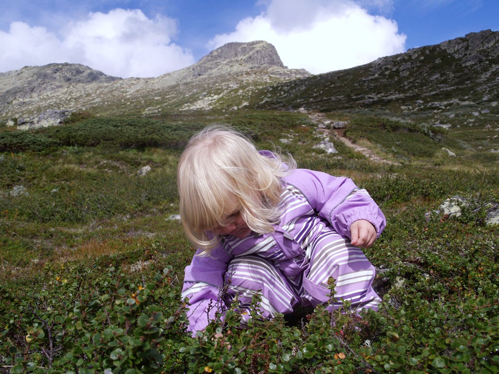 [P82000614.jpg]