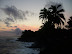 Hawaiian sunset, palm silhouettes, lava flow steam plume 
