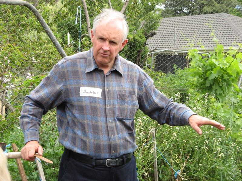 [Andrew & Claudia's Backyard Farm Visit 091[4].jpg]