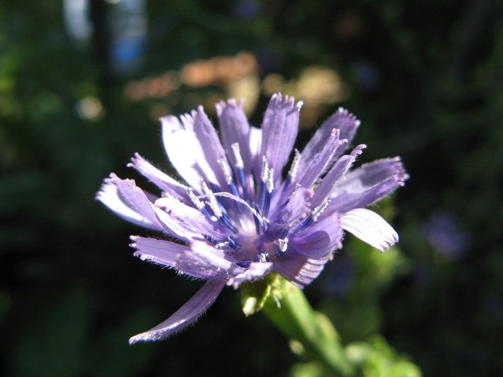 [Harrison, Worms, Garden & Shopping 010[1].jpg]