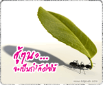สู้ๆนะ เป็นกำลังใจให้
