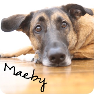 Maeby is a great model. Maeby is a great model.