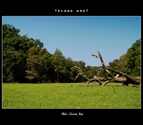 Telaga Asat
