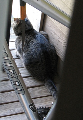 [Kisa waits[4].jpg]