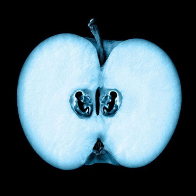 [Fringe Apple[2].jpg]
