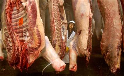 food safety bill