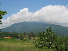 Image 13