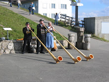 Image 14