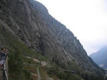 Image 14