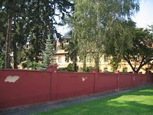 Image 16