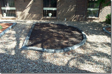 Garden 005