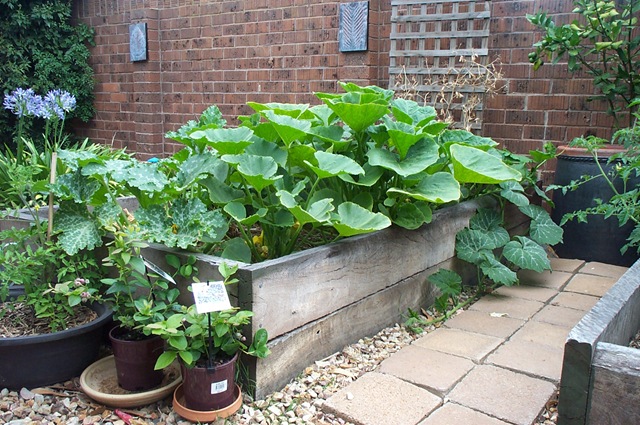 [Garden Update 010[3].jpg]