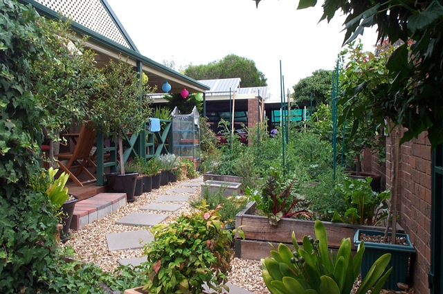 [Garden Update 019[3].jpg]