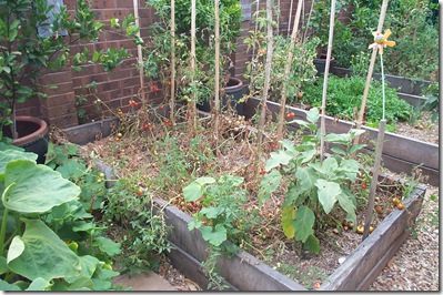 Burnt Garden 002