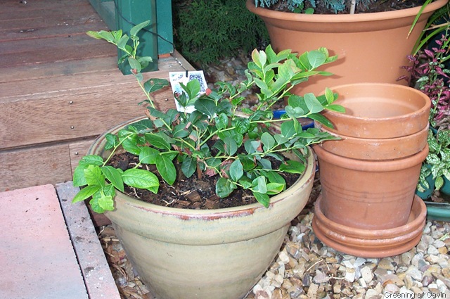 [Autumn Garden 006[7].jpg]