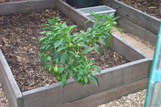 [Autumn Garden 009[4].jpg]