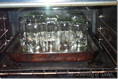 Pickled Onions 003
