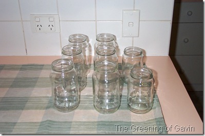 Pickled Onions 004